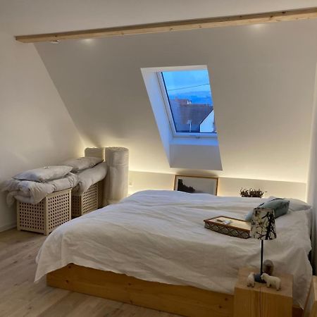 דירות Ehrenkirchen Neues Penthouse-Loft Mit Konuskarte Fuer Gratis Oepnv מראה חיצוני תמונה