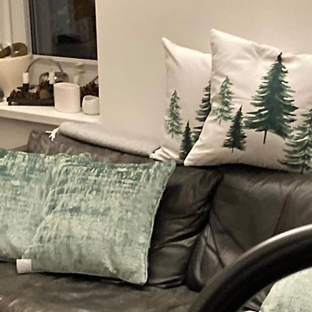 דירות Ehrenkirchen Neues Penthouse-Loft Mit Konuskarte Fuer Gratis Oepnv מראה חיצוני תמונה