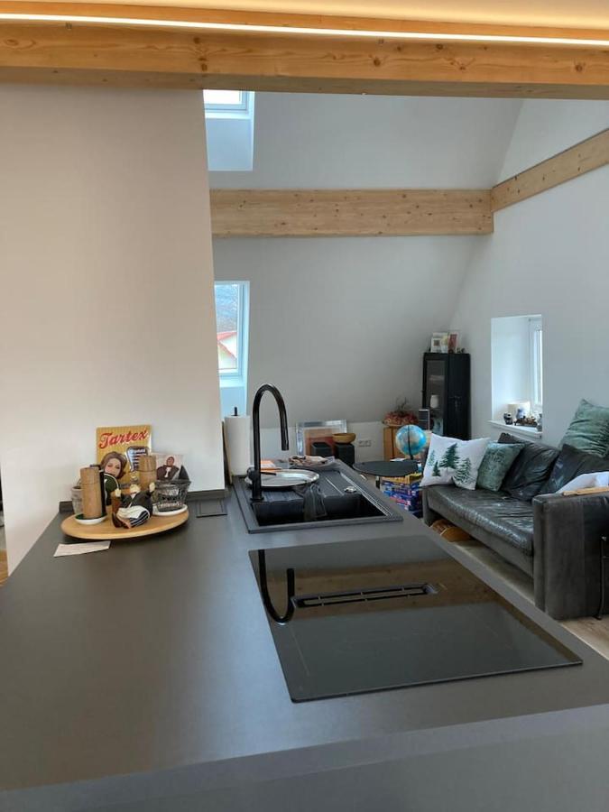 דירות Ehrenkirchen Neues Penthouse-Loft Mit Konuskarte Fuer Gratis Oepnv מראה חיצוני תמונה
